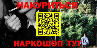 сатива Волгодонск