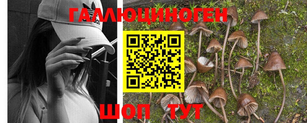 Псилоцибиновые грибы прущие грибы Миасс